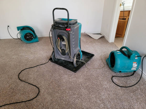 Best Local water damage restoration  in Shippensburg, PA
